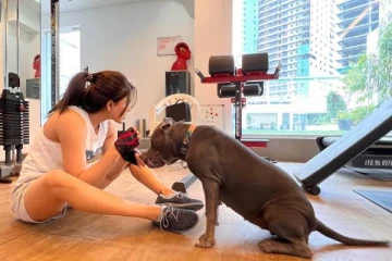 கடைசி வரை நாயோடு தானா? ரசிகரின் மோசமான கமெண்ட் - சமந்தா கொடுத்த நறுக் பதில்!