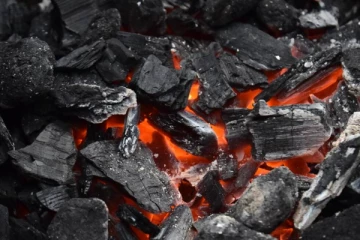 எரிவாயு நெருக்கடிக்குத் தீர்வாக அரச மரக் கூட்டுத்தாபனத்திடம் இருந்து கரி உற்பத்தி