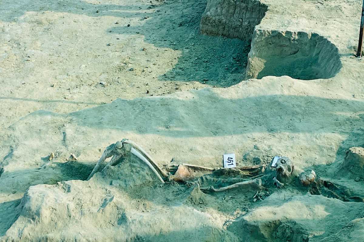 செம்மணி புதைகுழியில் அடையாளம் காணப்பட்ட ஆணிகள் | Chemmani Mass Graves Jaffna செம்மணி புதைகுழியில் அடையாளம் காணப்பட்ட ஆணிகள் | Chemmani Mass Graves Jaffna