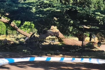 பிரித்தானியாவில் நிகழ்ந்த கோர மரச்சரிவு: பறிபோன 7 வயது சிறுமி உயிர்!