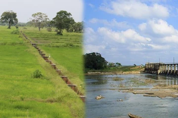 கிளிநொச்சியில் பயிர்செய்கை குழுவின் தீர்மானங்களை மீறி இடம்பெற்ற முறைகேடுகள்! வெளியான தகவல்