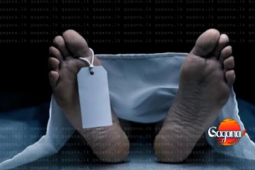 හමුදා සෙබළාගේ නිසල දේහය වැවෙන් හමුවේ