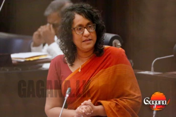 බලන් ඉන්නකෝ - ඉතිහාසයේ නැති විදිහට ජනසම්මතවාදී ව්‍යවස්ථාවක් අපි හදනවා