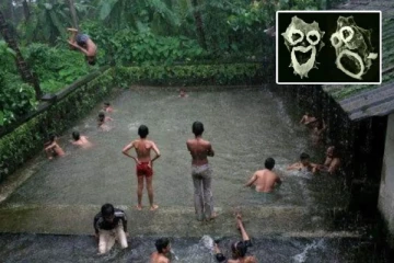 மூளையை உண்ணும் அமீபா-வின் மர்மம்! கேரளாவில் அதிகரிக்கும் இறப்பு எண்ணிக்கை