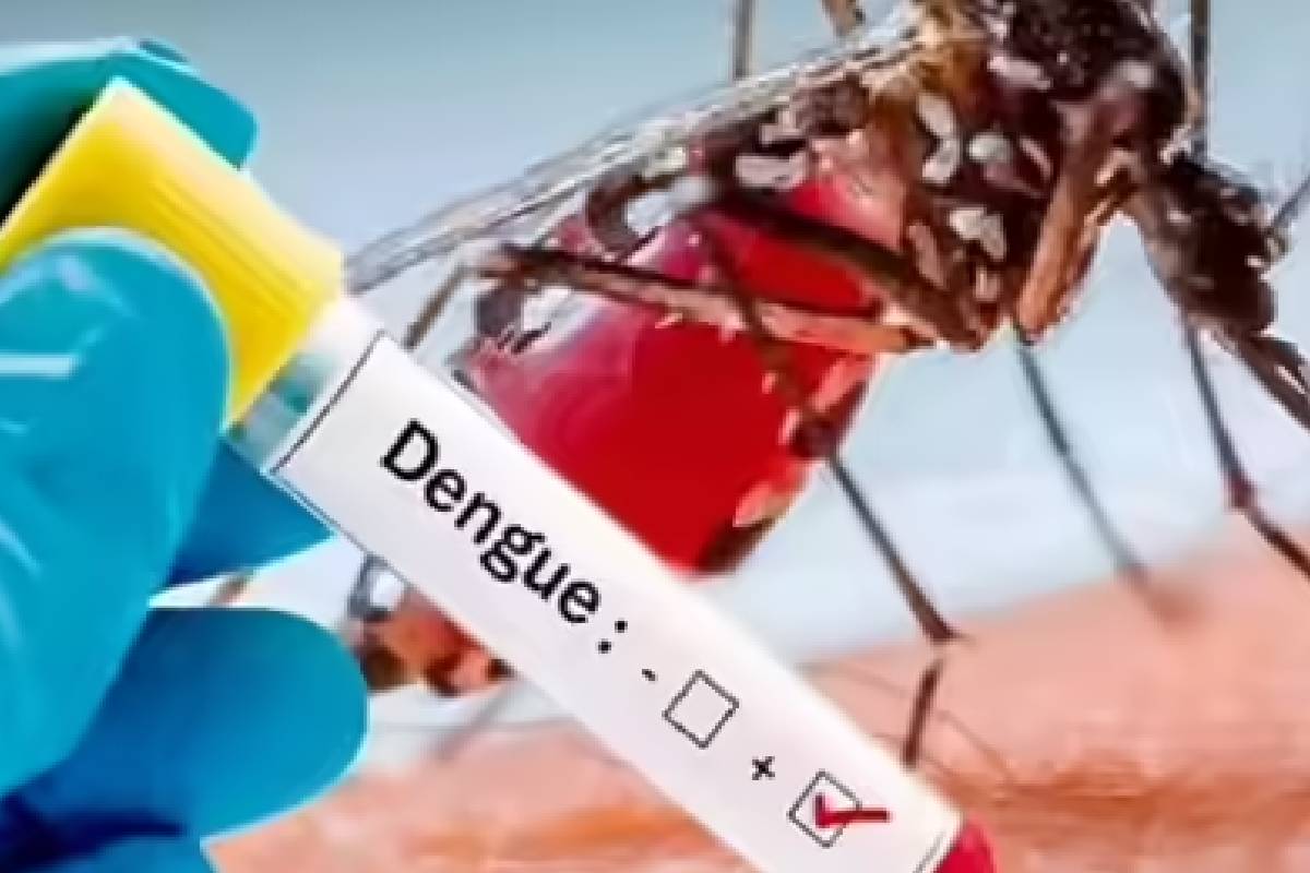 சிறுவர்களிடையே தீவிரமடையும் டெங்கு ; 48 மணி நேரத்துக்கு மேல் காய்ச்சல் நீடித்தால் உடனடி சிகிச்சை அவசியம் | Treatment Severe Dengue Among Children Essential
