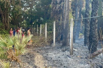 மன்னாரில் பாரிய தீ விபத்து: எரிந்து நாசமடைந்த பல ஏக்கர் காடுகள்!