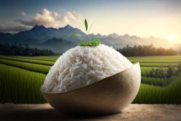 அரிசி தான் சர்க்கரை நோய்க்கு காரணமா? விளக்கமளிக்கும் மருத்துவ நிபுணர்! | Is Rice Really The Cause Of Diabetes அரிசி தான் சர்க்கரை நோய்க்கு காரணமா? விளக்கமளிக்கும் மருத்துவ நிபுணர்! | Is Rice Really The Cause Of Diabetes