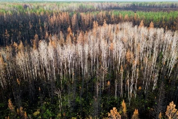 கனடாவில் காட்டுத்தீ காரணமாக 10 மில்லியன் ஹெக்ரயார் காணி தீக்கிரை