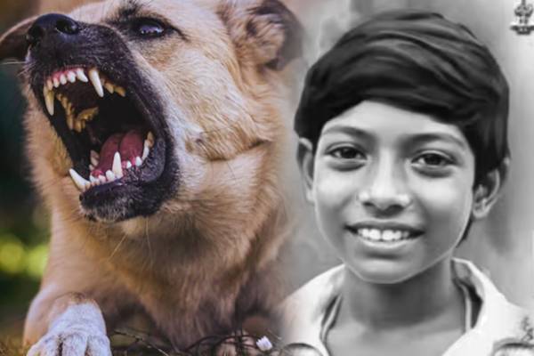 தெருநாய் கடித்து 15 வயது சிறுவன் மரணம் | 14 Year Old Boy Dies Of Rabies In Kanchipuram