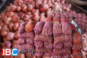 பாரியளவில் வெங்காயத்தை இறக்குமதி செய்ய வேண்டிய நிலை