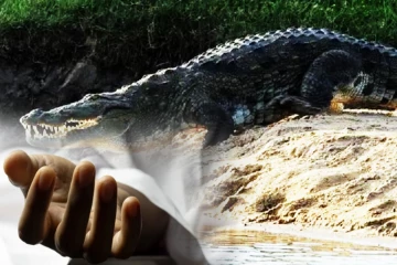 நீராட சென்ற சிறுமியை இழுத்துச் சென்ற முதலை!