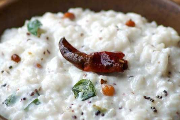 ஸ்பெஷல் தயிர் சாதம்.... இப்படி செய்தால் யாருக்கு தான் பிடிக்காது? | Special Curd Rice