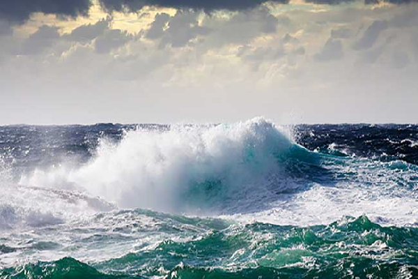 யாழ்ப்பாணத்தில் அட்டை பண்ணை காவலுக்கு சென்ற இளைஞனுக்கு நேர்ந்த துயரம் | Young Man Guard A Cardboard Farm Drowned Sea யாழ்ப்பாணத்தில் அட்டை பண்ணை காவலுக்கு சென்ற இளைஞனுக்கு நேர்ந்த துயரம் | Young Man Guard A Cardboard Farm Drowned Sea