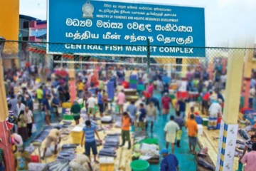 இன்று முதல் பேலியகொட மீன் சந்தை திறப்பு