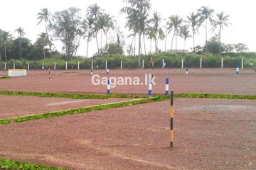 ඔබත් අදම සින්නක්කර ඉඩම් අයිතිය ලබා ගැනීමට කළ යුතු දේ මෙන්න..මෙතනින් ලියාපදිංචි වන්න..!