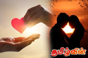 கொழும்பில் காதலிகளை குஷிப்படுத்துவதற்காக திருட்டில் ஈடுபட்ட இளைஞன்