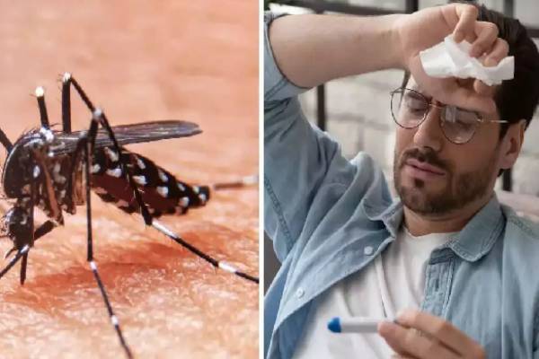 கோரிக்கைகள் புறக்கணிப்பா..! அரசாங்கத்தின் அசமந்தப்போக்கு குறித்து சிறிநாத் எம்.பி ஆதங்கம் | Mp Srinath S Statement About Government