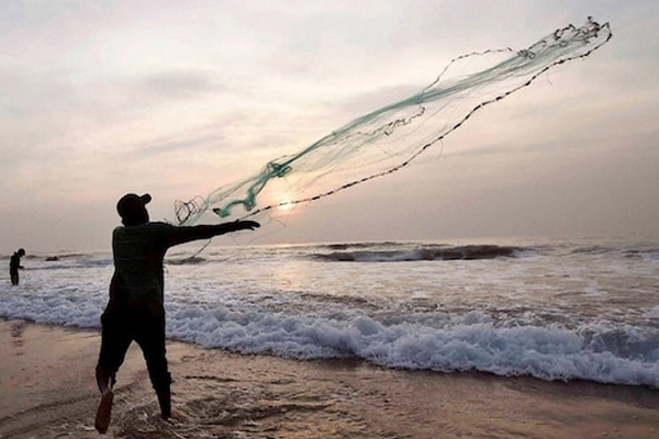 யாழில் மீன்பிடியில் ஈடுபட்ட இளைஞன் மாயம்! | Youth Was Engaged In Fishing In Jaffna Is Missing
