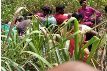 மஸ்கெலியாவில் விறகு தேடி சென்ற சிறுவன் மரத்திலிருந்து விழுந்து மரணம் (Photo)