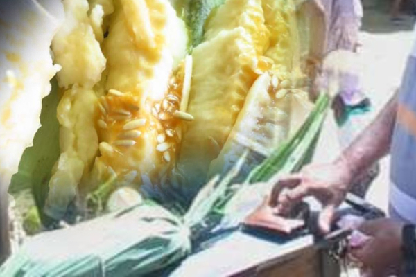 சுட்டெரிக்கும் வெய்யில்; யாழில் களைகட்டும் வெள்ளரிப்பழ வியாபாரம்!(Photos) | A Burning Awning Weeding Cucumber Business