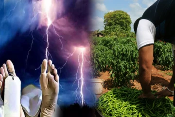 யாழில் மிளகாய் தோட்டத்தில் நின்றவர் மின்னல் தாக்கி உயிரிழப்பு