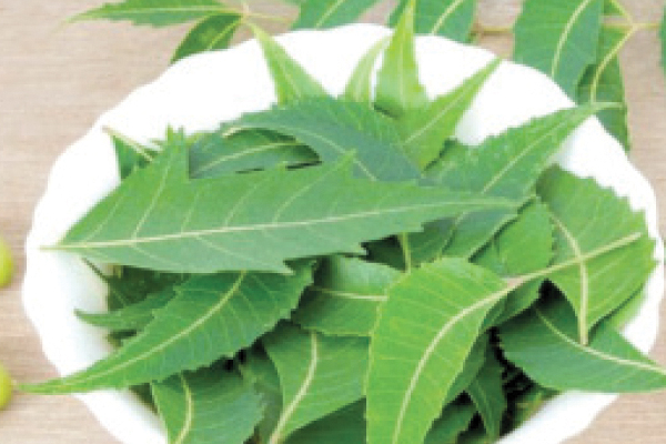 කහ පැහැ වූ දත් සුදු කරන සුපිරි ක්‍රම | How To Whitening Yellow Taath
