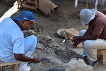 கொழும்பு துறைமுகத்தில் அகழப்படும் மனித எலும்புக்கூடுகள்