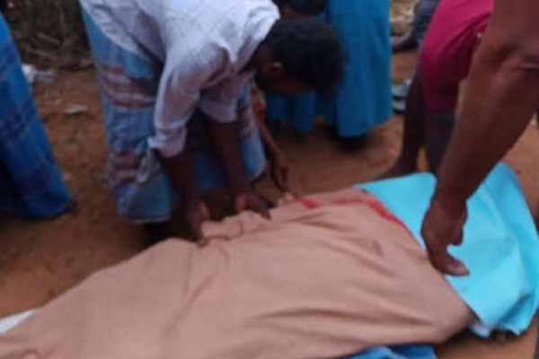 மீன் விற்க சென்றவரை தூக்கியடித்த யானை! | Elephant Who Went To Sell Fish Threw Him