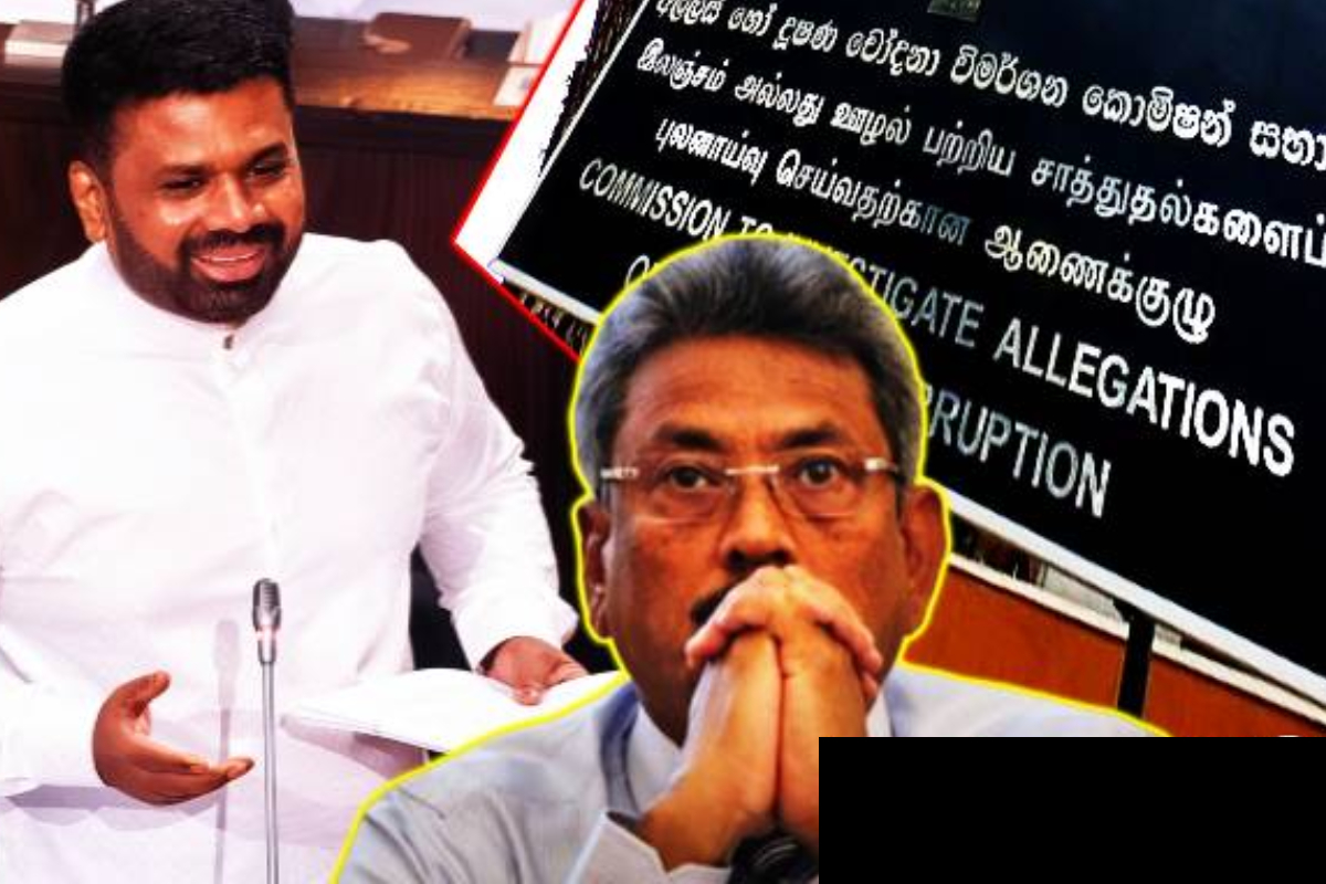 கோட்டாபயவின் பாதையிலேயே செல்லும் அநுர அரசு: சபையில் அடித்துக்கூறிய எம்.பி | Electricity Tariff Revision Electricity Bill Today