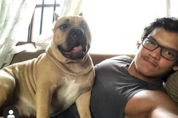 ரோஹிந்தவின் நாயின் கழுத்திலுள்ள தங்கத்தின் பெறுமதி - வெளியான அதிர்ச்சித் தகவல்