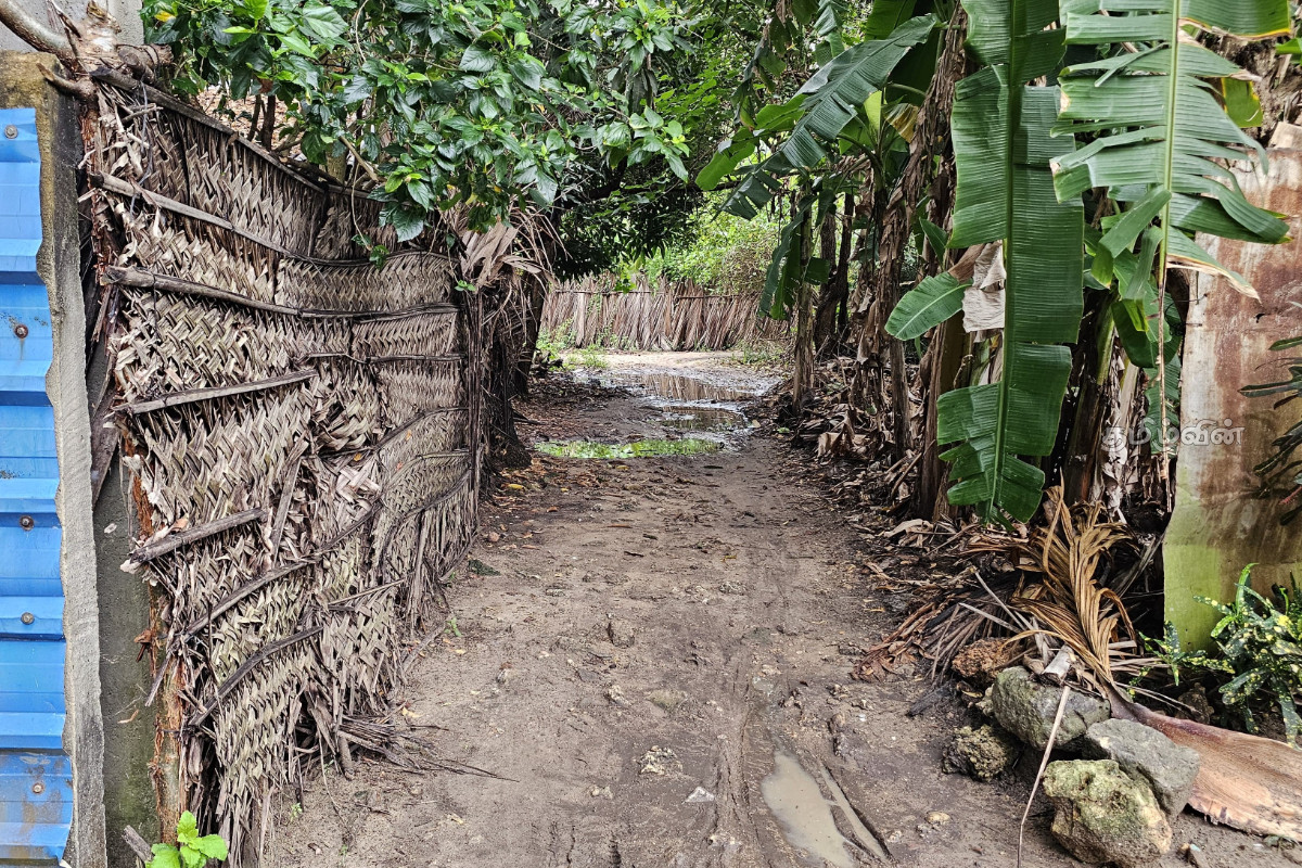 யாழில் வீதியை புனரமைக்க தயங்கும் மானிப்பாய் பிரதேச சபை! பொதுமக்கள் விடுத்துள்ள கோரிக்கை | Manipay Pradeshiya Sabha Reluctant Road In Jaffna