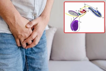 பிரித்தானியர் ஒருவரின் உடலில் 3 ஆண்குறிகள் கண்டுபிடிப்பு: ஆச்சர்யத்தில் மருத்துவ ஆராய்ச்சியாளர்கள்!