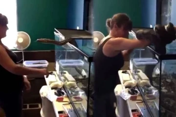 மலைப்பாம்பு உரிமையாளருக்கு நேர்ந்த கதி! வைரலாகும் வீடியோ பதிவு