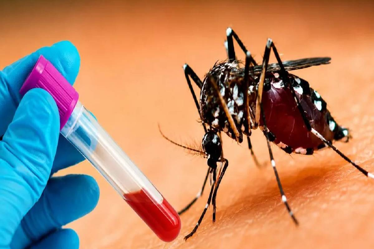 நாடளாவிய ரீதியில் டெங்கு நோயாளர்களின் எண்ணிக்கை அதிகரிப்பு ; அவதானம் மக்களே | Dengue Cases Rise Across Sri Lanka நாடளாவிய ரீதியில் டெங்கு நோயாளர்களின் எண்ணிக்கை அதிகரிப்பு ; அவதானம் மக்களே | Dengue Cases Rise Across Sri Lanka
