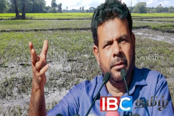 உணவுப்பற்றாக்குறை என்ற பேச்சுக்கே இடமில்லை : அடித்துக்கூறுகிறது அரசு