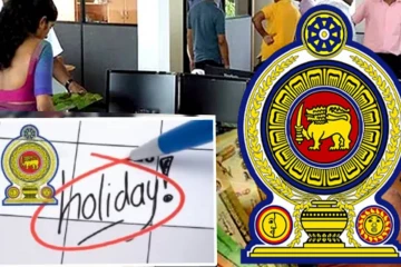 எரிபொருள் நெருக்கடி! அரசாங்க ஊழியர்கள் வீட்டிலிருந்தே பணியாற்றுவது தொடர்பில் எடுக்கப்பட்ட தீர்மானம்