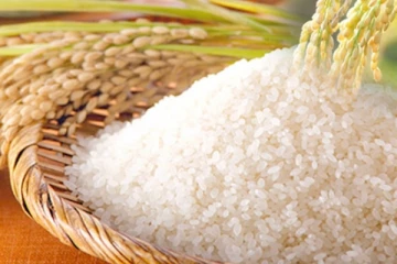 හොඳම සහල් ගැන කෘෂිකර්ම ඇමති කී අලුත් දේ..