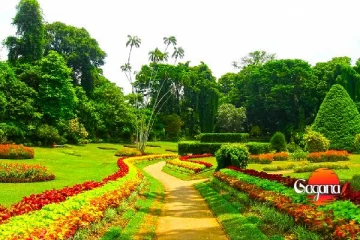 අදහාගත නොහැකි උද්භිද උද්‍යාන ආදායම මෙන්න