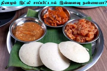 தினமும் இட்லி சாப்பிட்டால் இவ்வளவு நன்மையா? ஆச்சரியமான உண்மை இதோ