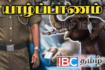 யாழ். தாவடி ஆலயத்தில் நடந்த அனர்த்தம்...! யானையால் காலினை இழந்த பெண் - அம்பலப்படுத்தும் சட்டத்தரணி