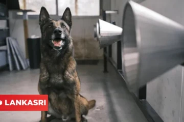 பிரான்சில் பொது இடங்களில் மக்களுக்கு கொரோனா உள்ளதா என்பதை கண்டறிய புதுவித சோதனை துவக்கம்