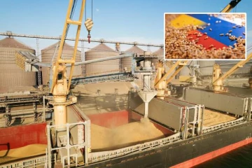 உக்ரைனிலிருந்து வெளியேறிய மொத்த உணவு தானியங்களின் அளவு: JCC வழங்கிய முக்கிய அறிக்கை