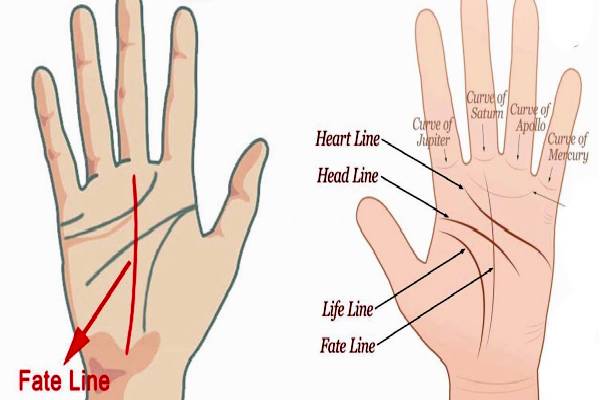 சீக்கிரம் இறக்க போவதை கைரேகை எப்படி இருக்கும் தெரியுமா?