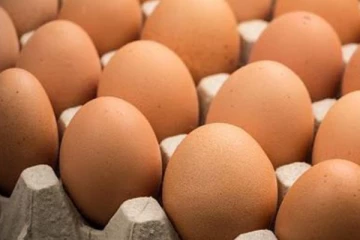 බිත්තර ගැන මෙරට වත්මන් තත්ත්වය..