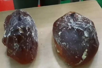 ஒரு கிலோ திமிங்கில வாந்தி எத்தனை கோடி தெரியுமா? 5 கோடிக்கு பேரம் பேசிய கும்பலுக்கு நேர்ந்த கதி