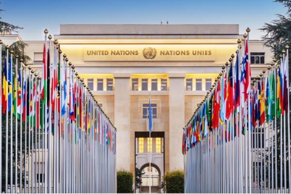 தமிழ்த்தேசிய இனத்தின் தனிநாட்டு கோரிக்கையும், சர்வதேச ஒழுங்கு நடைமுறையும்! | Sri Lankan Tamils Sri Lanka Political Content