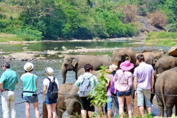 நாளாந்தம் நாட்டுக்கு வரவுள்ள  5,000 சுற்றுலாப்  பயணிகள்!