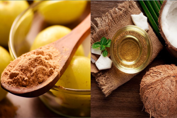 இளம் வயது நரைமுடி - தேங்காய் எண்ணெயில் இந்த ஒரு பொருள் கலந்து பூசுங்க | Grey Hair At A Young Age Mix With Coconut Oil