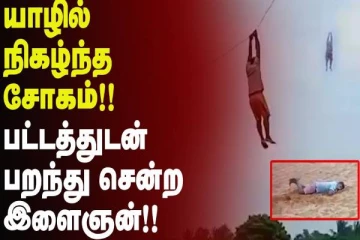 யாழ்ப்பாணத்தில் இளைஞர் செய்த செயலால்... பட்டத்துடன் பறந்து சென்ற நபர்! வைரலாகும் பரபரப்பு வீடியோ;