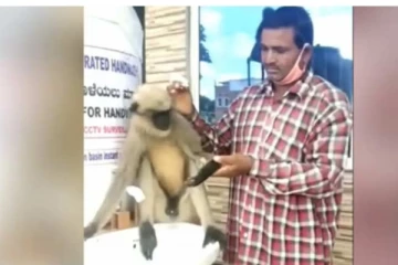 වෛද්‍යවරුන් පවා මවිත කරමින් බෙහෙත් ගැනීමට රෝහලට පැමිණි වැඳිරිය